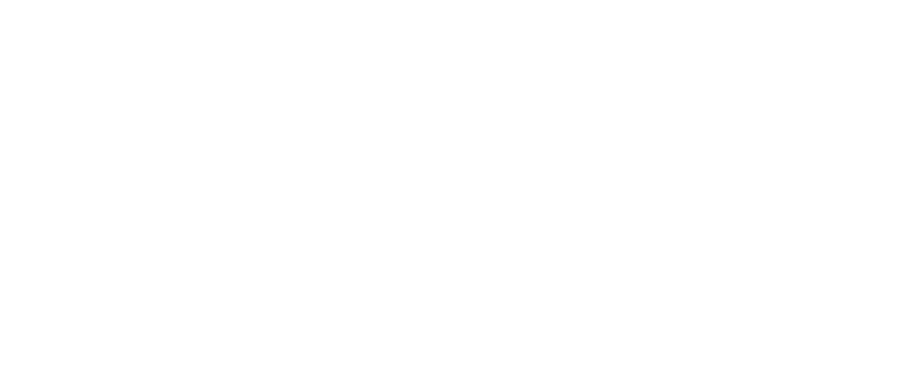 The Arabian Press Logo